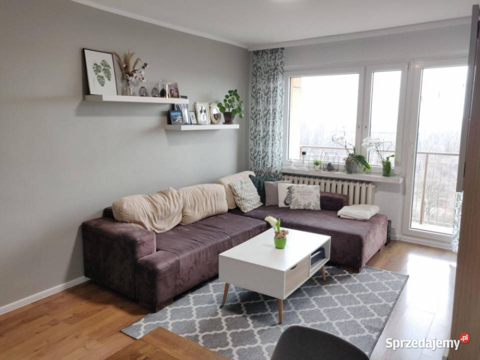 Mieszaknie z widokiem na Park Śląski 50m2 Katowice