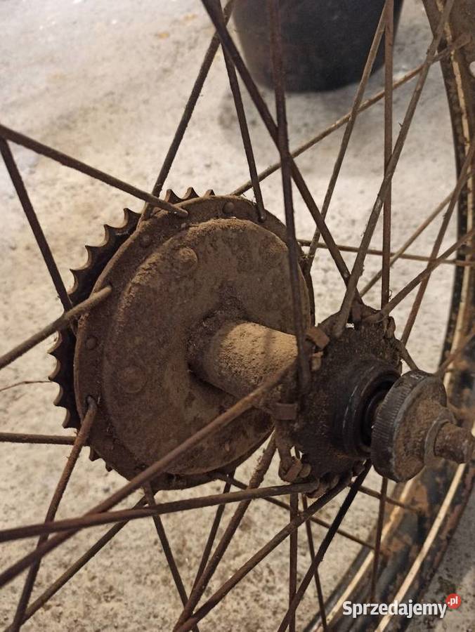 Koło Moskwa 125 DKW RT 125 SOKÓŁ 125 Pozostałe pomorskie Bytów sprzedam