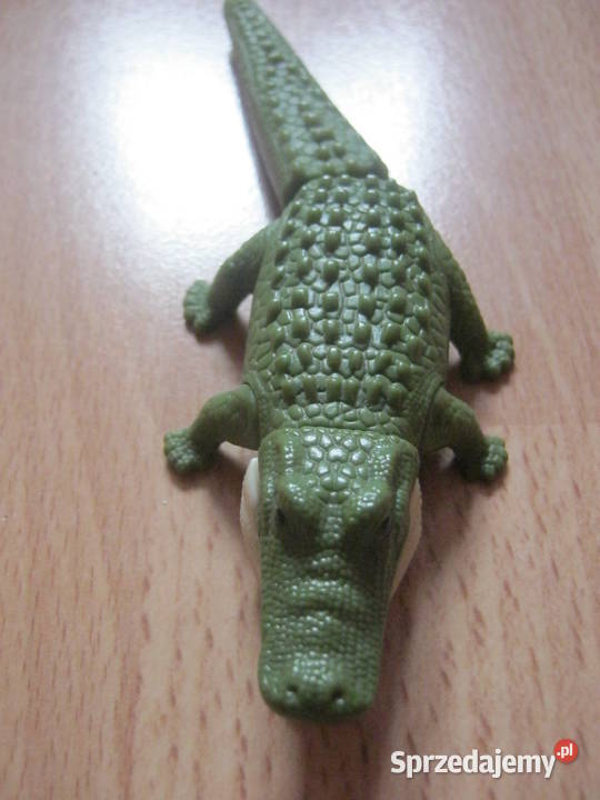 Krokodylek Szczecin