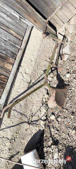 Stare konne redło nieuszkodzony Główczyce sprzedam