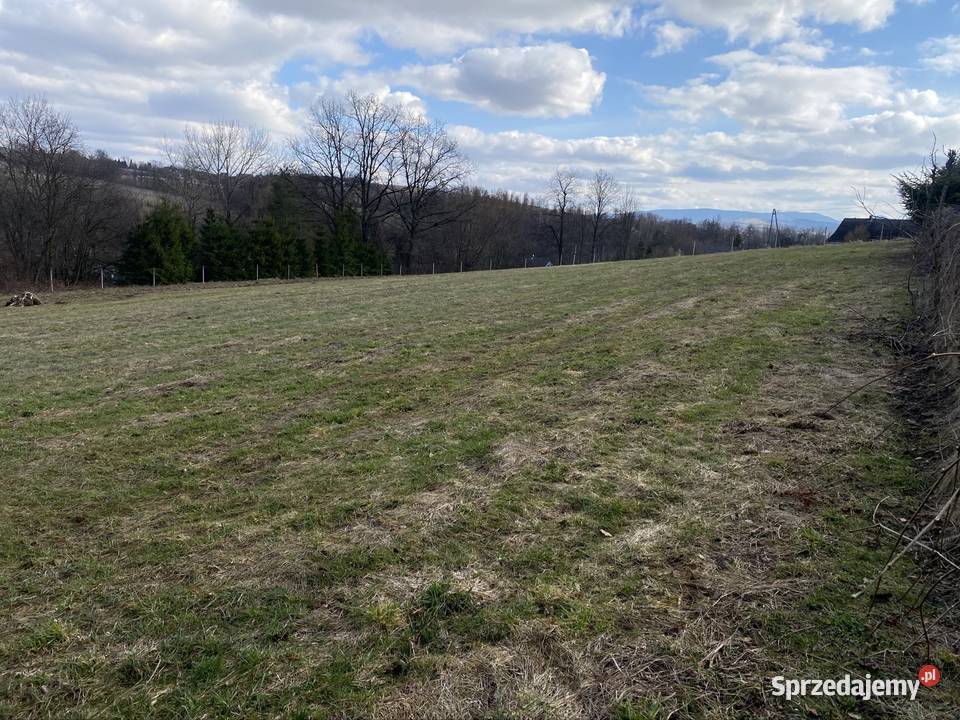 Działki budowlane z dojazdem 91043ary małopolskie sprzedam