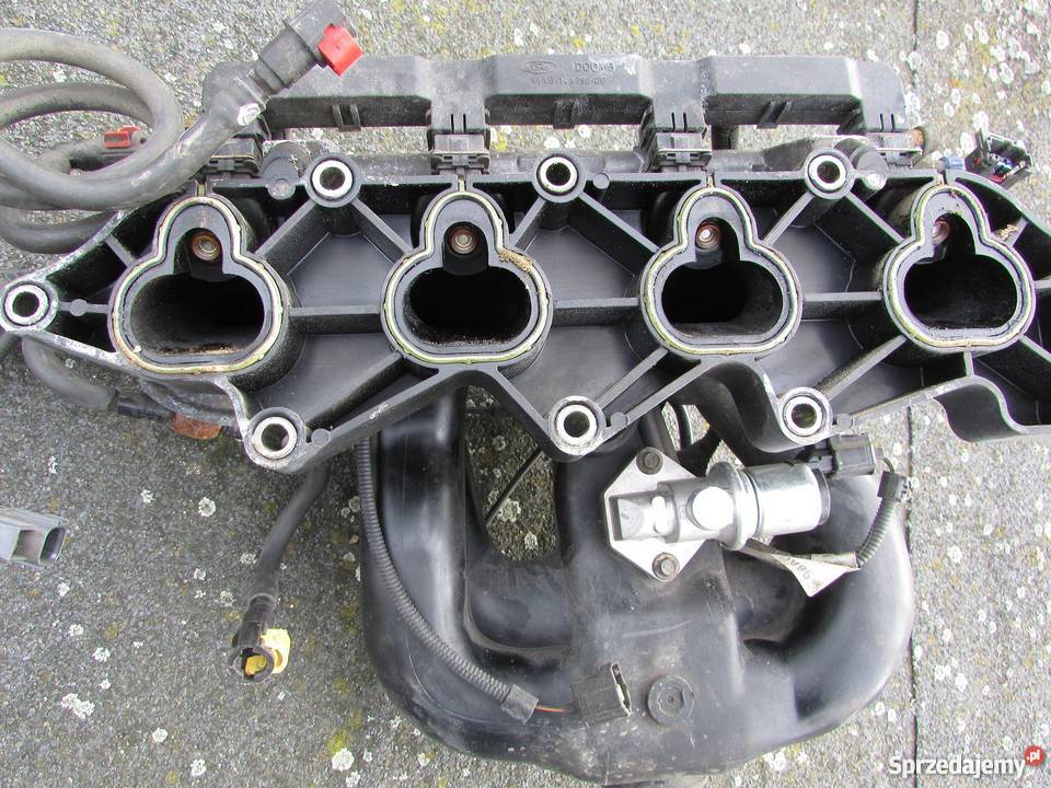 Kolektor komplet for focus 1820