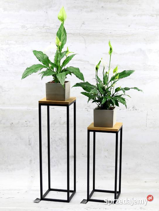 Kwietnik Metalowy Stojący Stojak na kwiaty 80 Sobienie-Jeziory