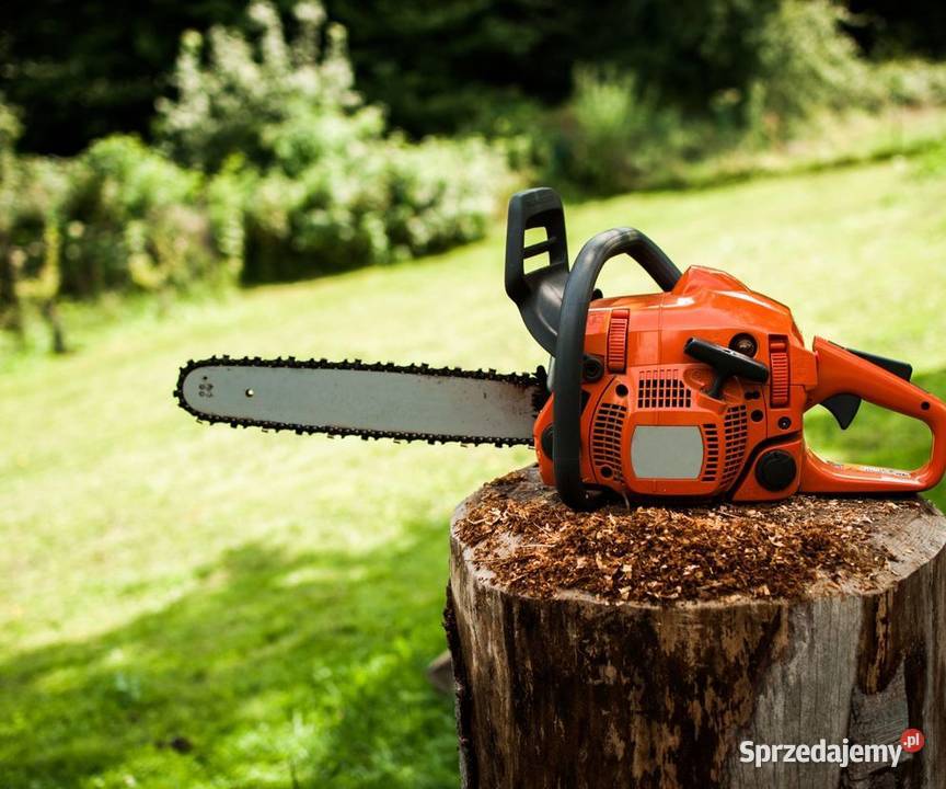 Naprawa sprzętu ogrodniczego i elektrycznego Dzierżów