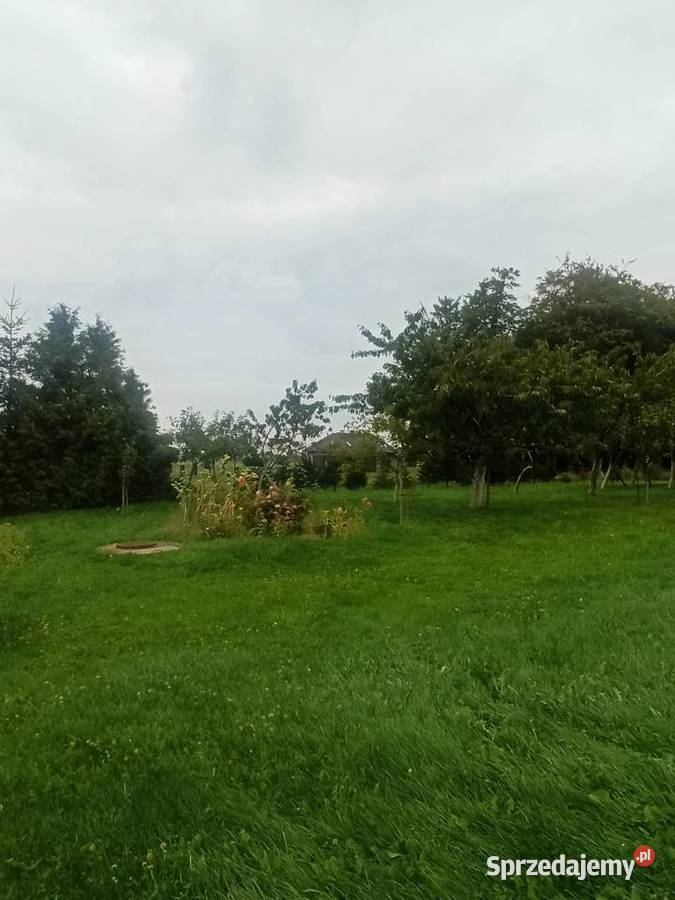 małe gospodarstwo rolne Pakosław sprzedam