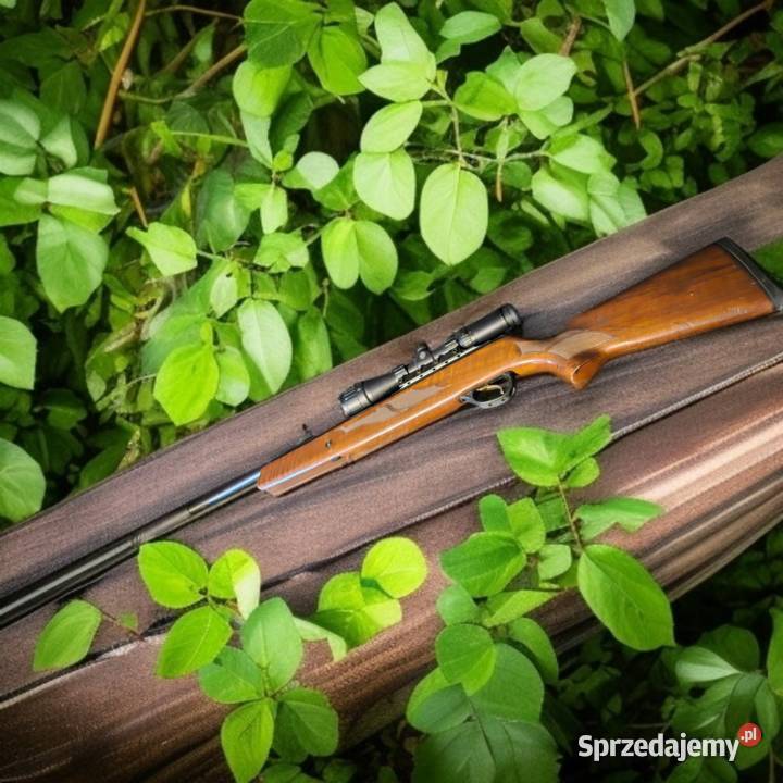 Wiatrówka Hatsan Luneta Hawkee dużo drugi etui Sporty strzeleckie i myślistwo Wrocław sprzedam