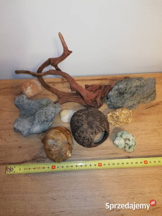Dekoracje naturalne do akwarium Tanio Akwarystyka Warszawa sprzedam