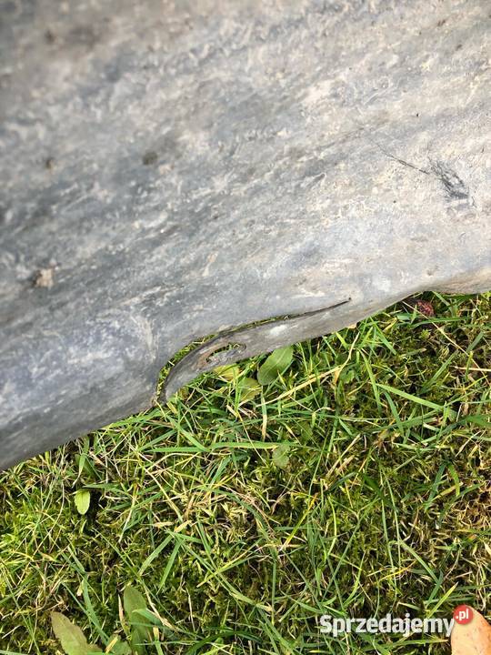 Nadkole Prawe Lewe Tył Tylne Skoda Octavia I Kozy sprzedam