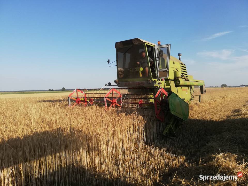 Sprzedam CLAAS MERCATOR 75 Kombajny Granowo
