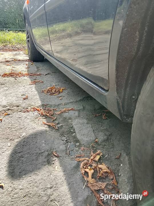 Ford fiesta 2004 13 benzynabrakprzegląd 160926 kujawsko-pomorskie Bydgoszcz