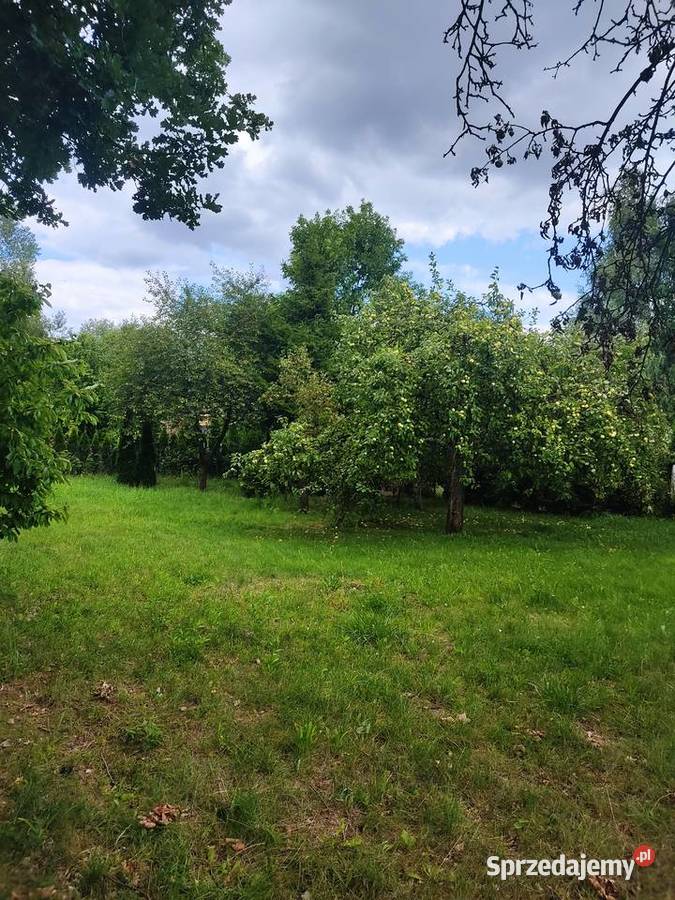 Duży ogródek działkowy ROD Sosnowiec 855m2 Sprzedaż