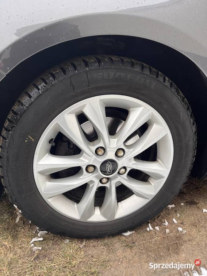 Ford Focus 2015 15 tdci 227 Salon Polska piękny Focus Wola Rzędzińska