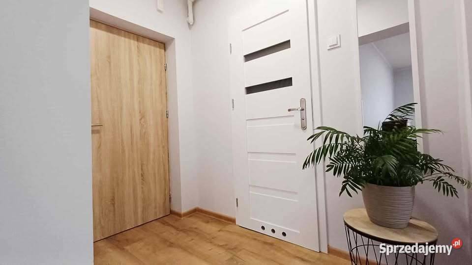 1pok 30met Sienkiewicza REMONCIE Wrocław Wynajem Mieszkania