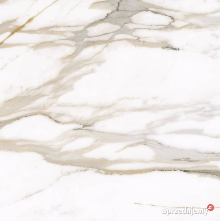 Gres Calacatta Gold satin 60x60K Płytki uniwersalne Warszawa