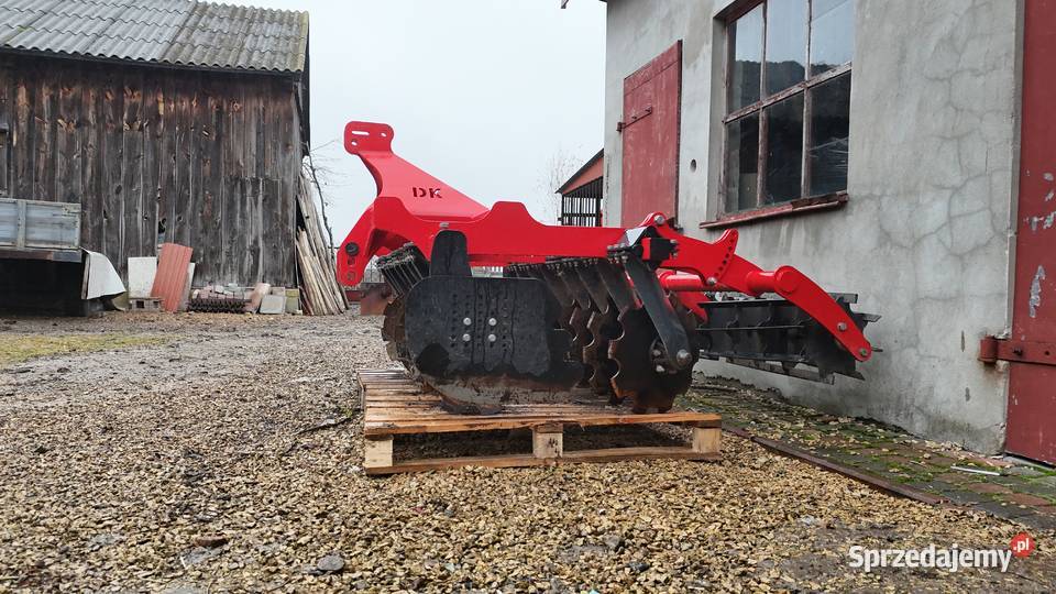 Talerzówka dziekan Rogaczew