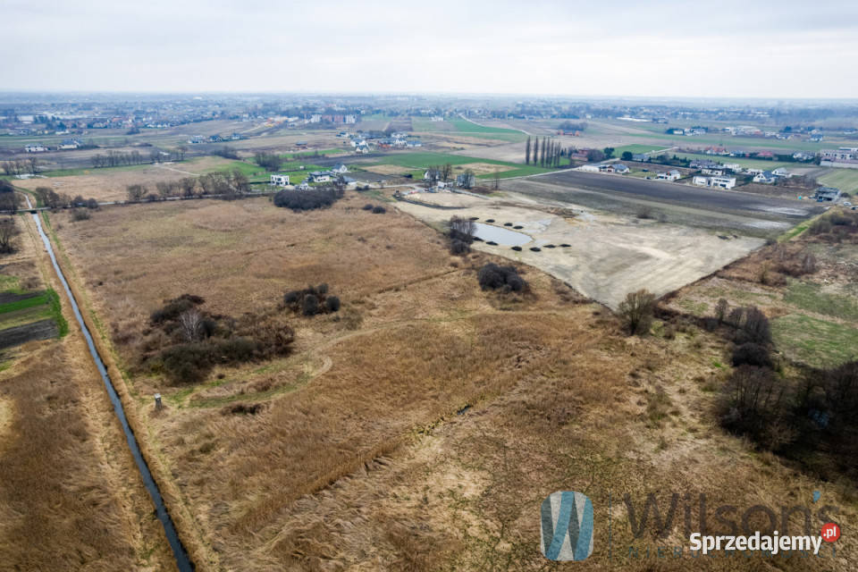 Działka Falenty Nowe Jaworowska 65910m2 asfalt