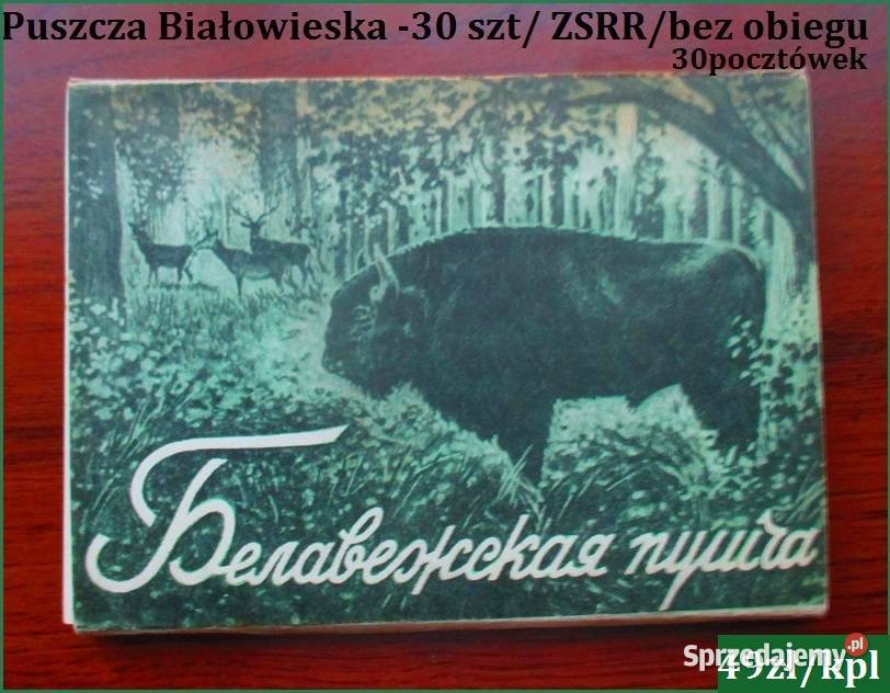 Kalendarze książkowe Przyjaciółki Przyjaciółka