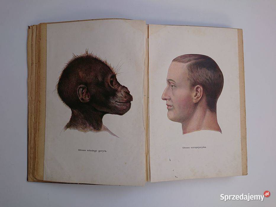 KREMERWSZECHŚWIAT I CZŁOWIEK wydanie 1906r tom Warszawa