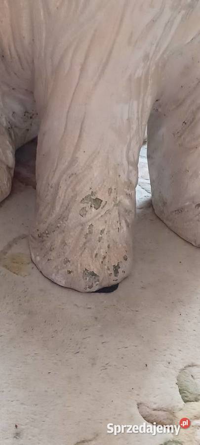 CHARTA AFGAŃSKI CONTINETNTAL POWOJENNY MODEL 83 beżowy Swarzędz