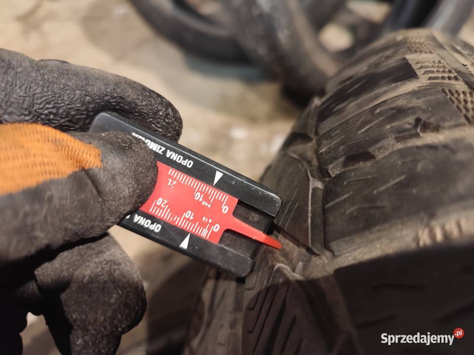 2x 2255517 kormoran snów dot2718 225 śląskie Bielsko-Biała