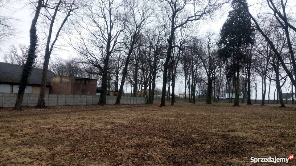 Sprzedam pałac z projektem na dom seniora SPA Krzywiczyny sprzedam