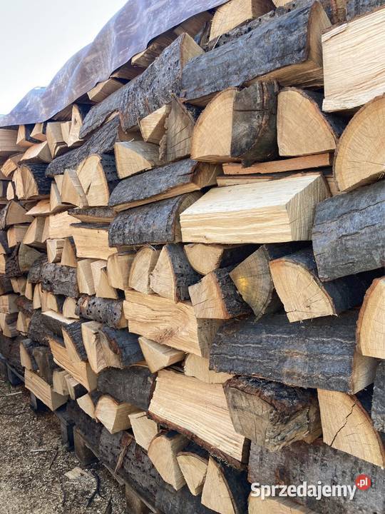 Drewno kominkowe Dąb Rybnik