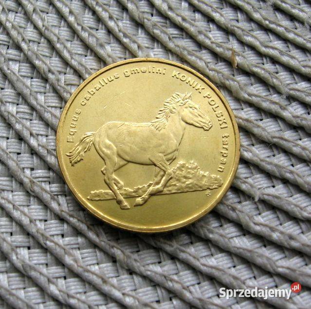Polska 2 GN 2014r Konik Polski Ładna Kalisz