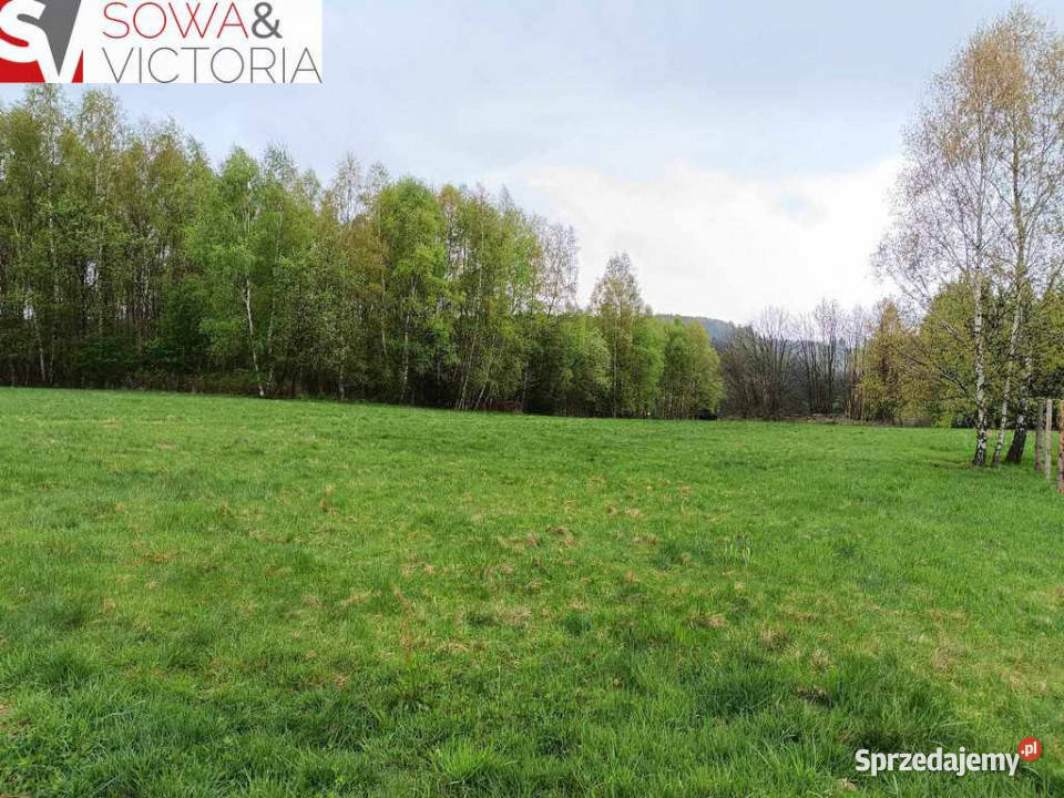 Sielankowa działka z lasem cisza i spokój polna Bartnica