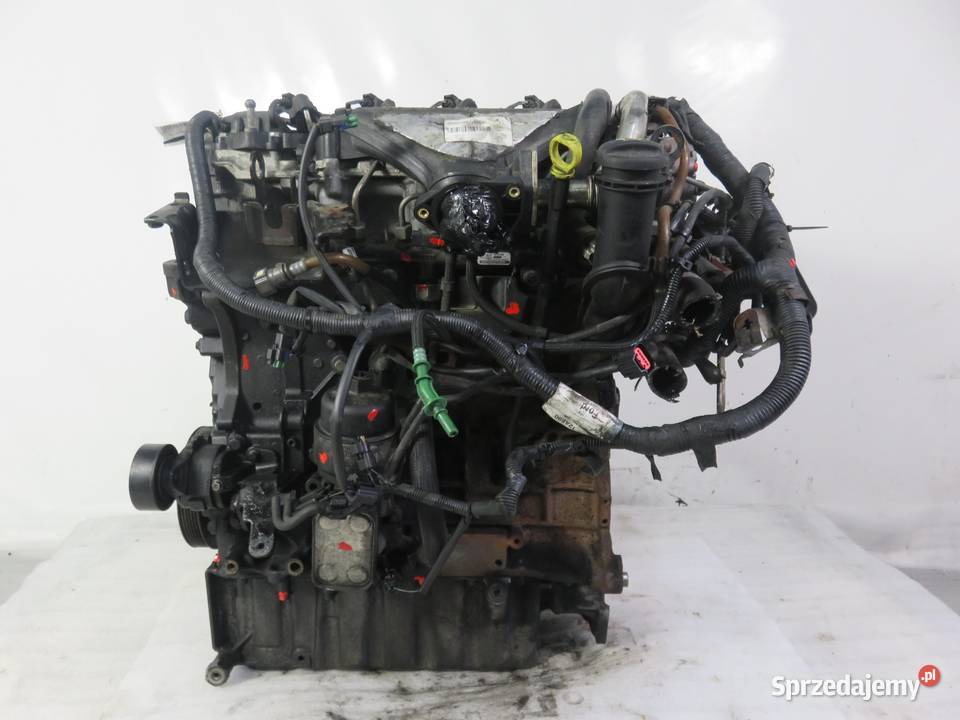 SILNIK FORD KUGA I 20 TDCi G6DG D4204T 136 osobowe sprzedam