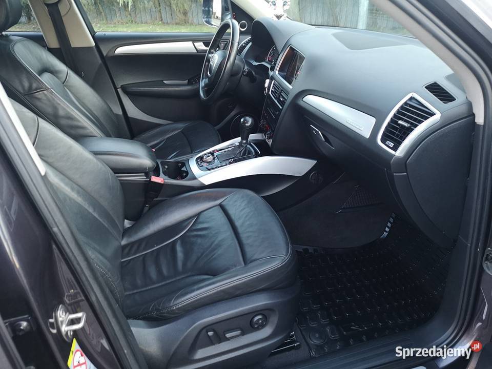 zadbany Ful Zamiana Poznań