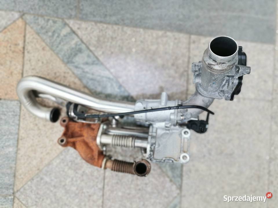 EGR Renault kango Białystok sprzedam