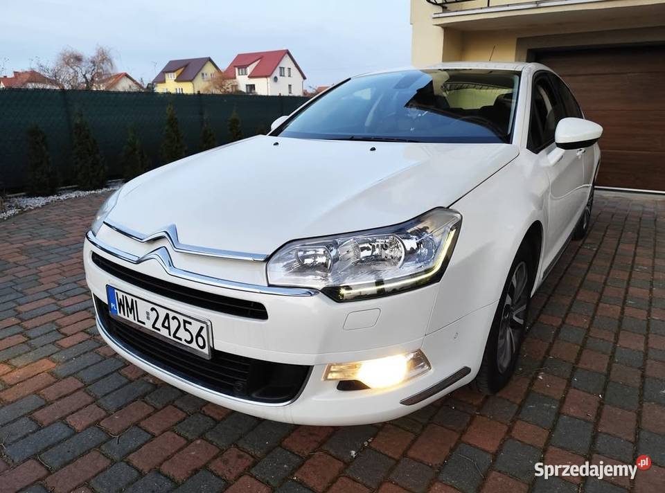 C5 CITROEN Sedan Biała perła Bluehdi manual bez manualna Tłuszcz