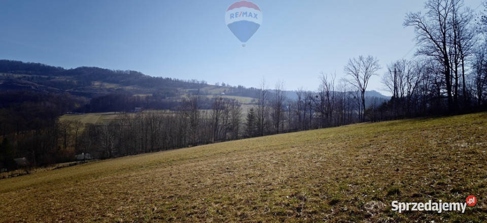 Działka budowlana pod lasem Dzięgielów