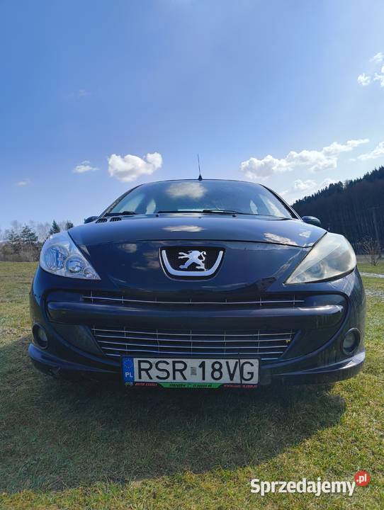 Peugeot 206 plus 2010 68KM Huta Gogołowska