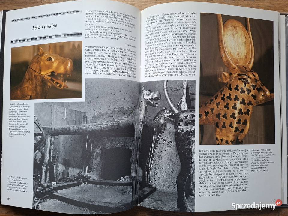 Tutanchamon Nicholas Reeves Kraków