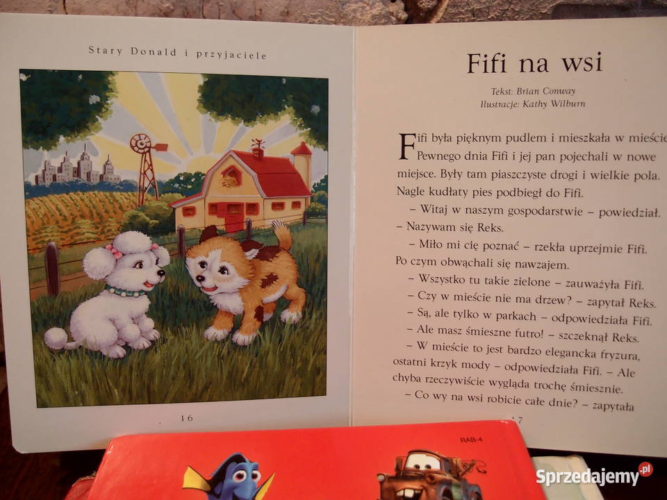 Książki dzieci 4 Ładnie ilustrowane Stan b Rok wydania 2006 Łódź