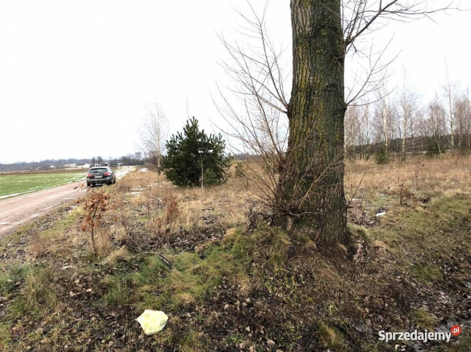 Na sprzedaż działka rolna 70 Warszawy