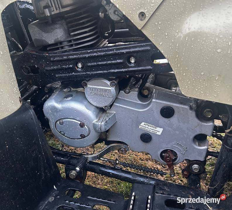 Quad Reinmech mt 175 duży stan Osobnica