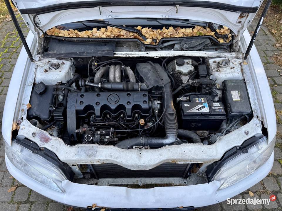 Peugeot 106 15d zachodniopomorskie Międzywodzie