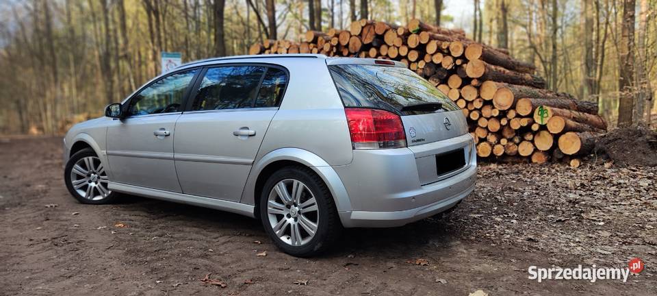 Opel Signum 18 LPG Rok produkcji 2005 śląskie Katowice