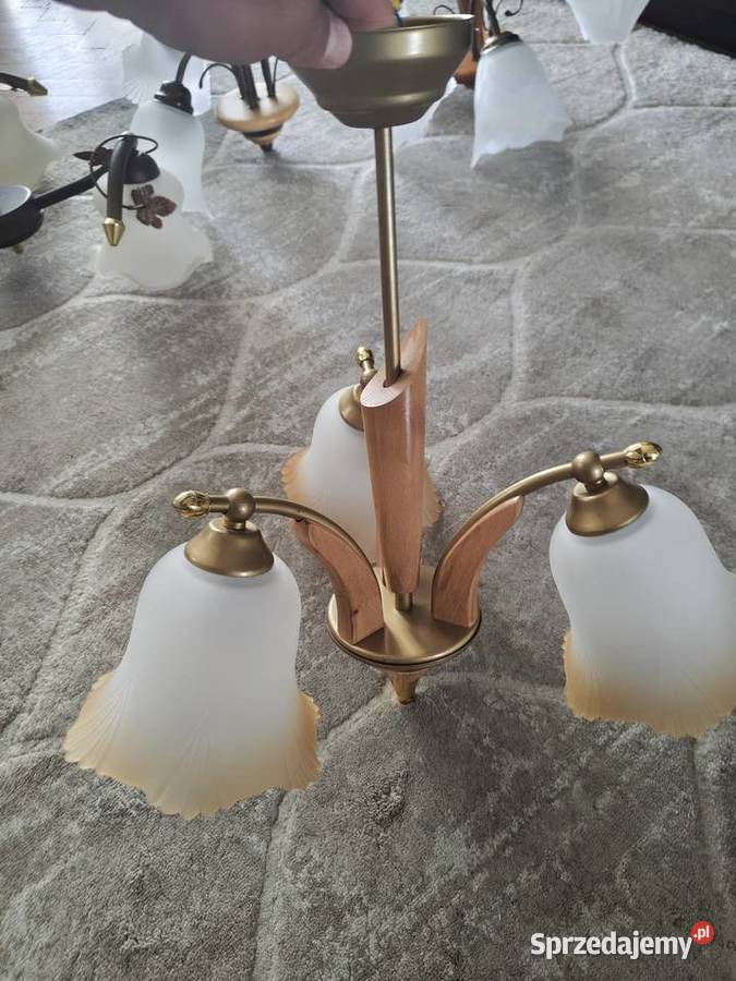 Lampy wiszące podkarpackie Dębica