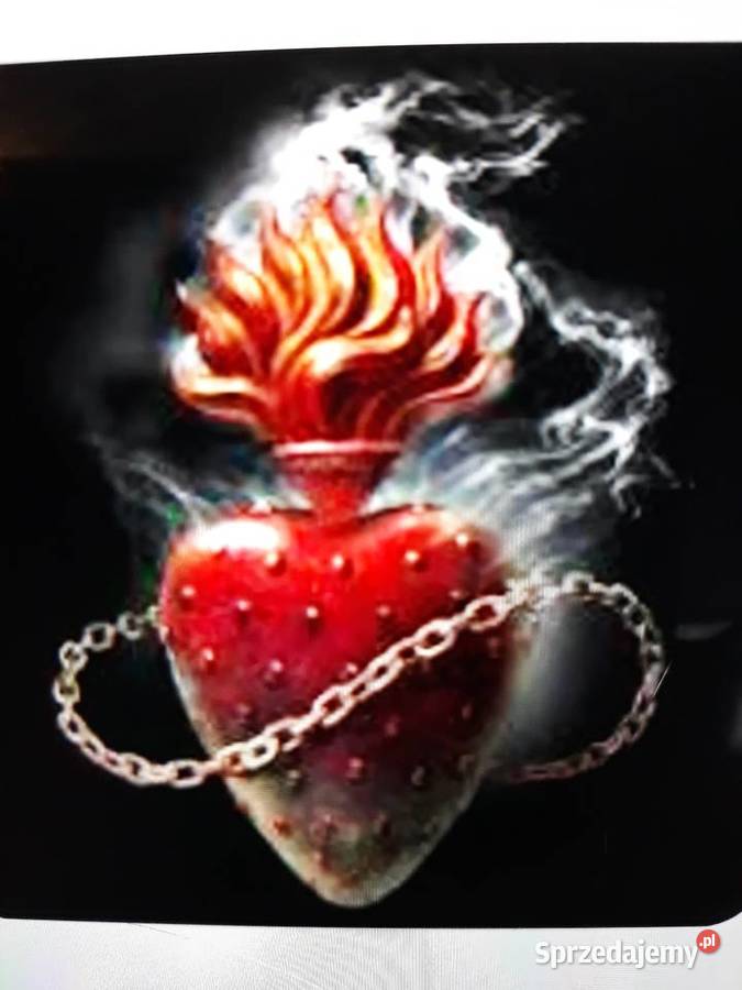 Archiwum hard prog rocka DIVLJE JAGODE Orginal Rzeszów