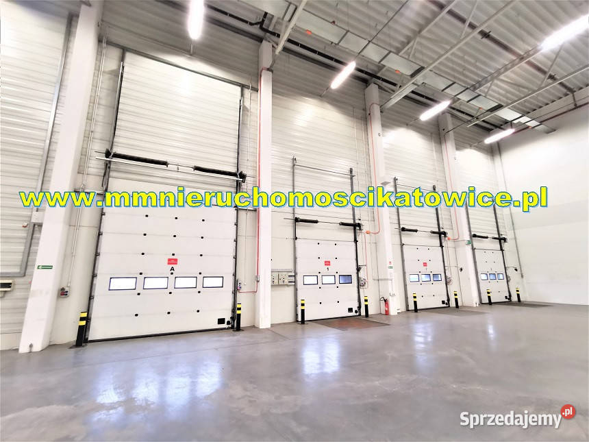 Powierzchnie magazynowe do wynajęcia do 10000 m2 parking Sosnowiec