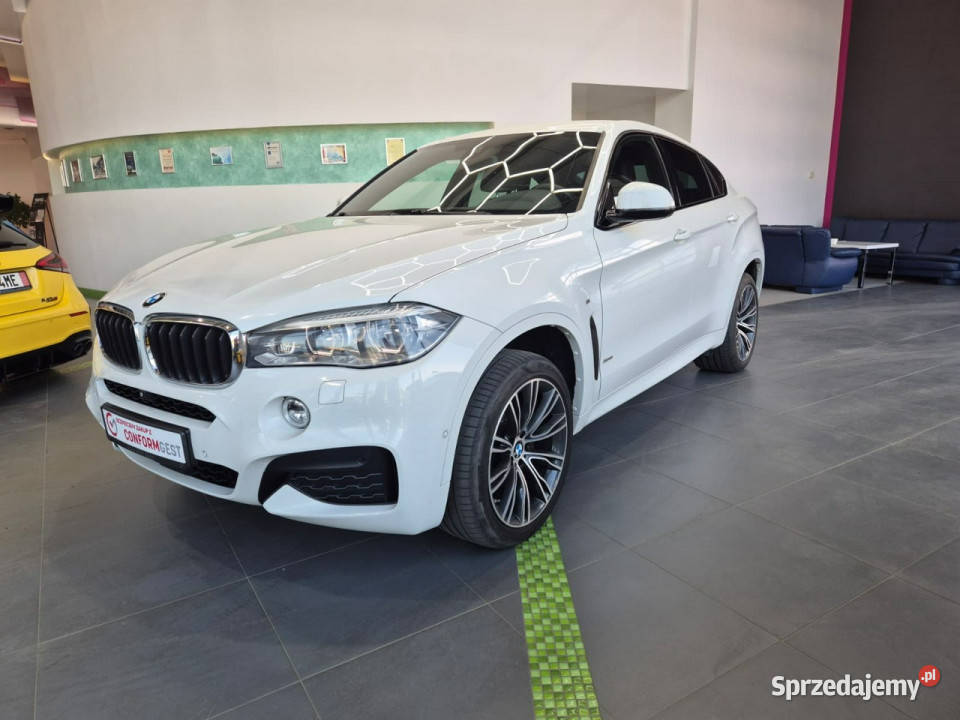 BMW X6 BMW X6 xDrive30d M PAKIET POLSKI SALON X6 Łaziska Górne sprzedam