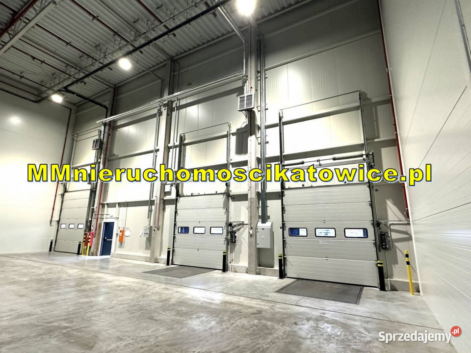 Hala produkcyjna magazyn do wynajęcia Katowice