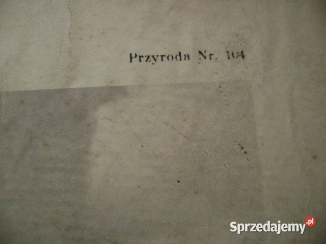 Starocie z PRL Plansza szkolna z 1935r 51 x 35