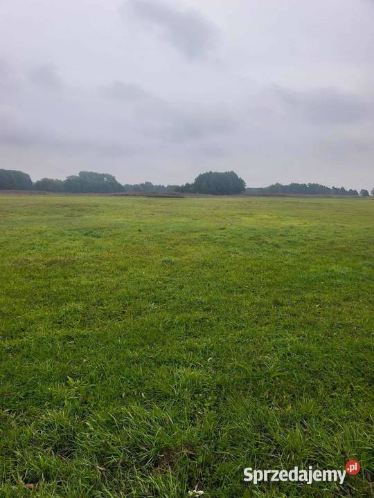 DWIE ŁĄKI W MIEJSCOWOŚCI LĄDEK GMINA LĄDEK Lądek