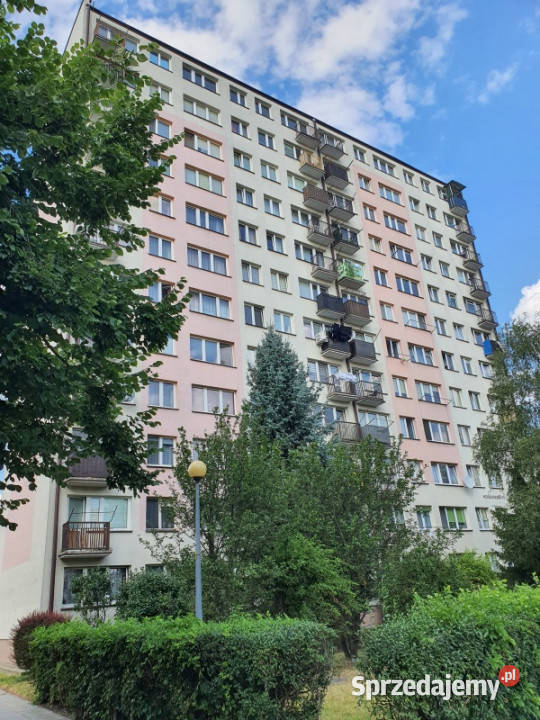 2 pkojowe mieszkanie w Tarnowie na sprzedaż internet Sprzedaż Tarnów