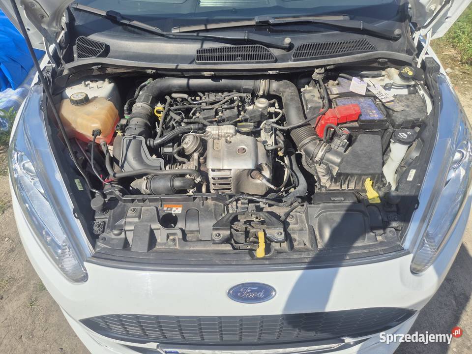 Ford Fiesta MK7 benzyna wielkopolskie Ostrów Wielkopolski