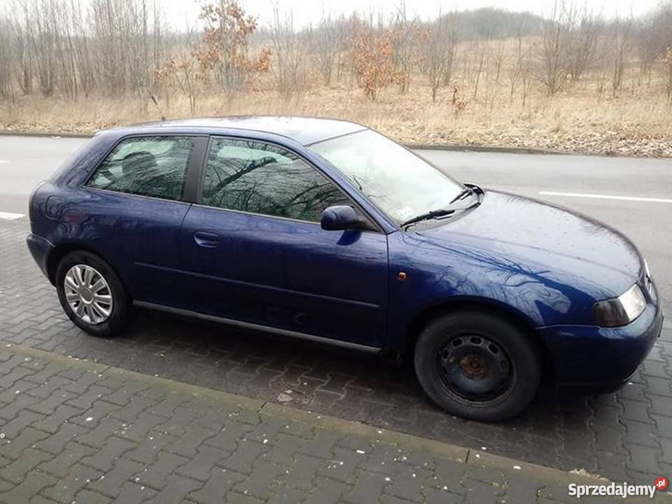 Audi A3 19 TDI 110 światła LED Zychorzyn-Kolonia